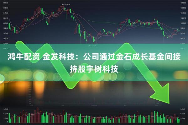 鸿牛配资 金发科技:公司通过金石成长基金间接持股宇树科技