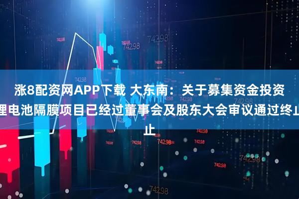 涨8配资网APP下载 大东南：关于募集资金投资锂电池隔膜项目已经过董事会及股东大会审议通过终止